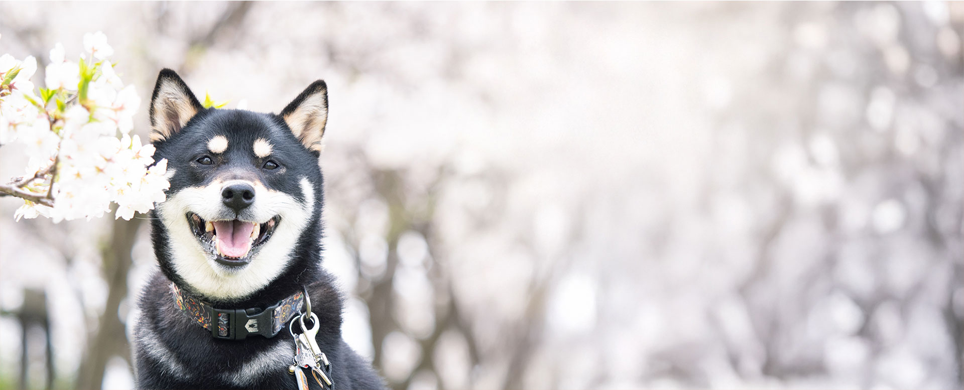トレーニング風景