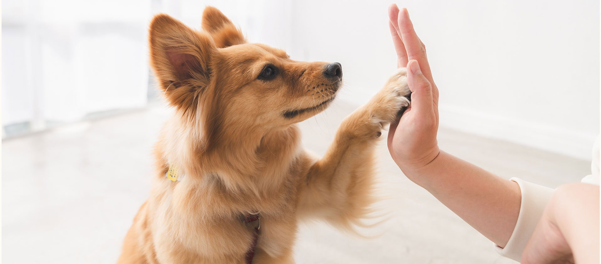 トレーニング風景
