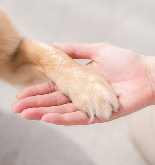 はじめての方へ